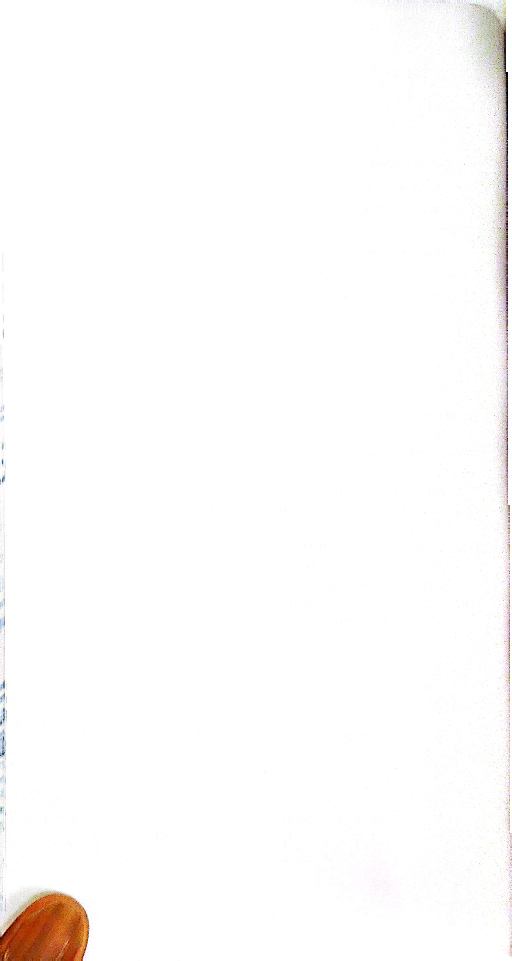 Código Muncipal_149.jpg